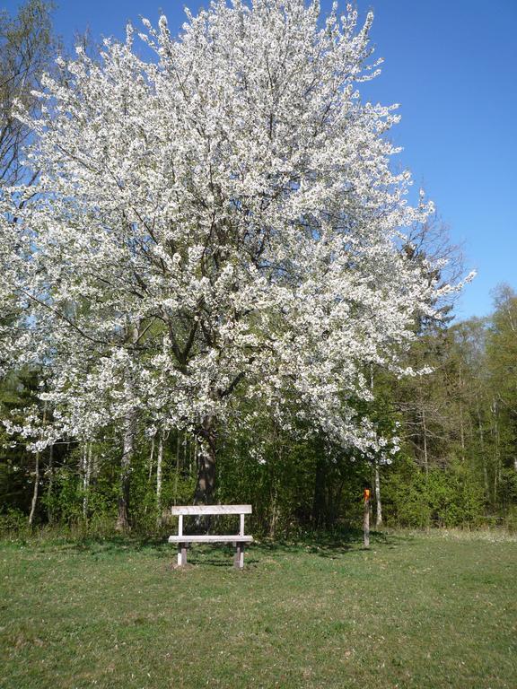 Valle Vandrarhem Axvall Dış mekan fotoğraf