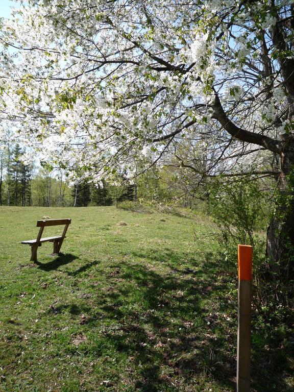 Valle Vandrarhem Axvall Dış mekan fotoğraf